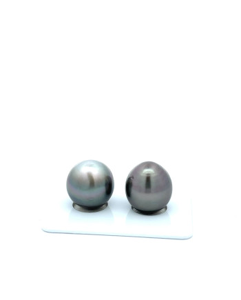 12mm+ jewel  grade Tahitian Black Pearl, French Polynesia  