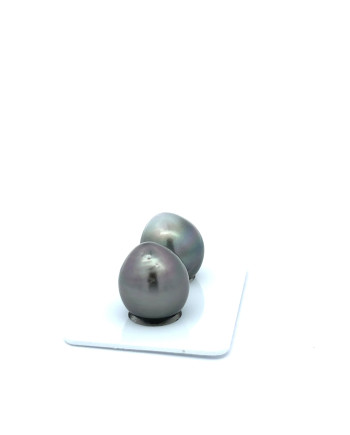 12mm+ jewel  grade Tahitian Black Pearl, French Polynesia  