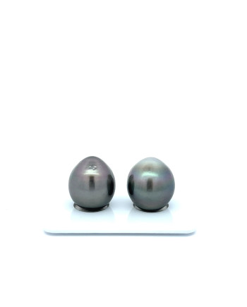 12mm+ jewel  grade Tahitian Black Pearl, French Polynesia  