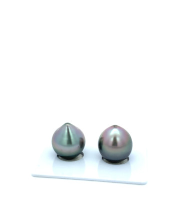 12mm+ fine  grade Tahitian Black Pearl, French Polynesia  