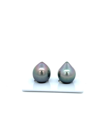 12mm+ fine  grade Tahitian Black Pearl, French Polynesia  