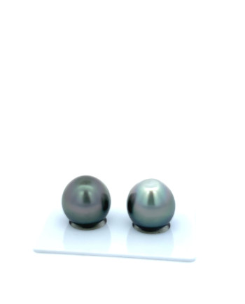 12mm+ gem  grade Tahitian Black Pearl, French Polynesia  