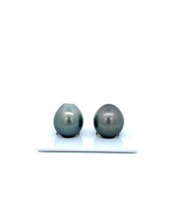 12mm+ gem  grade Tahitian Black Pearl, French Polynesia  