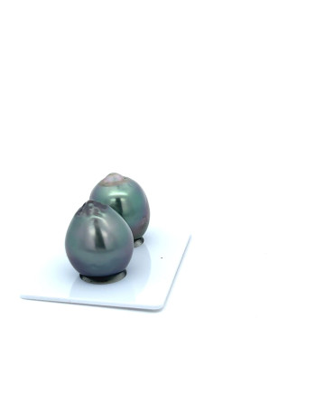 12mm+ jewel  grade Tahitian Black Pearl, French Polynesia  