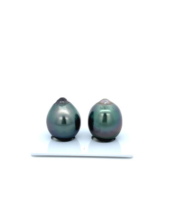 12mm+ jewel  grade Tahitian Black Pearl, French Polynesia  