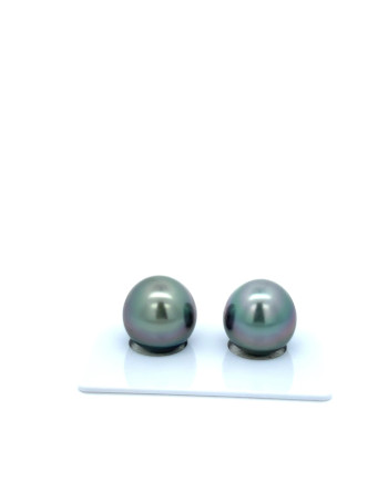 12mm+ fine  grade Tahitian Black Pearl, French Polynesia  