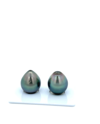 12mm+ gem  grade Tahitian Black Pearl, French Polynesia  