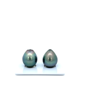 12mm+ gem  grade Tahitian Black Pearl, French Polynesia  