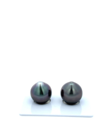 12mm+ gem  grade Tahitian Black Pearl, French Polynesia  