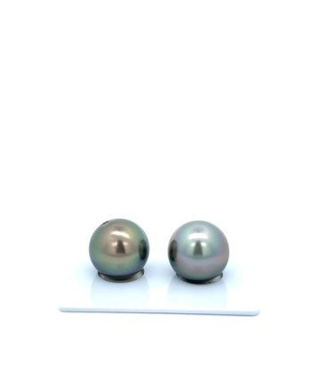 12mm+ fine  grade Tahitian Black Pearl, French Polynesia  