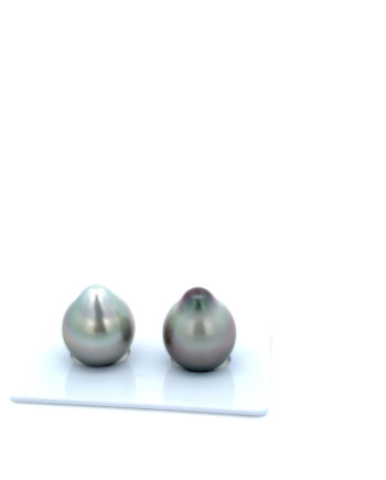12mm+ fine  grade Tahitian Black Pearl, French Polynesia  