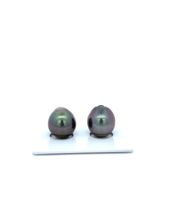 12mm+ fine  grade Tahitian Black Pearl, French Polynesia  