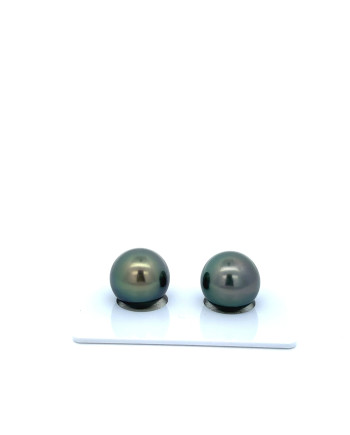 9mm+ fine  grade Tahitian Black Pearl, French Polynesia  