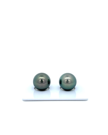 9mm+ fine  grade Tahitian Black Pearl, French Polynesia  