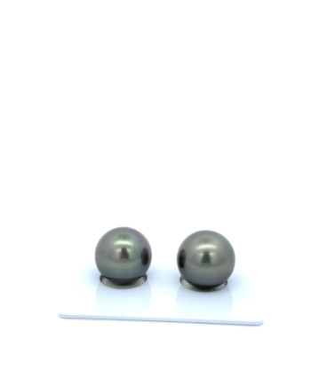 12mm+ fine  grade Tahitian Black Pearl, French Polynesia  