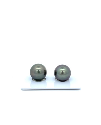 12mm+ fine  grade Tahitian Black Pearl, French Polynesia  