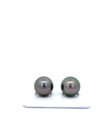 12mm+ gem  grade Tahitian Black Pearl, French Polynesia  