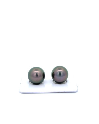 12mm+ gem  grade Tahitian Black Pearl, French Polynesia  
