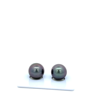 12mm+ fine  grade Tahitian Black Pearl, French Polynesia  