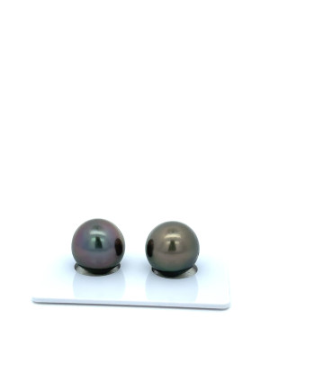 9mm+ fine  grade Tahitian Black Pearl, French Polynesia  