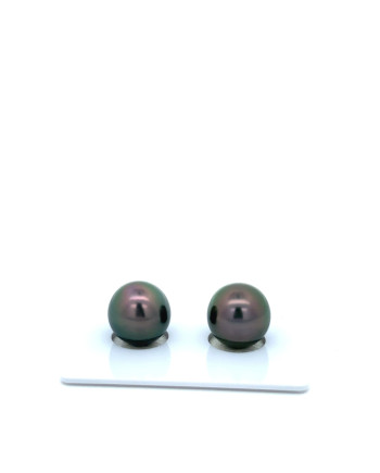 9mm+ fine  grade Tahitian Black Pearl, French Polynesia  