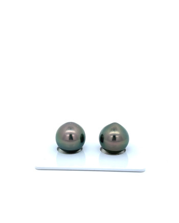 9mm+ gem  grade Tahitian Black Pearl, French Polynesia  