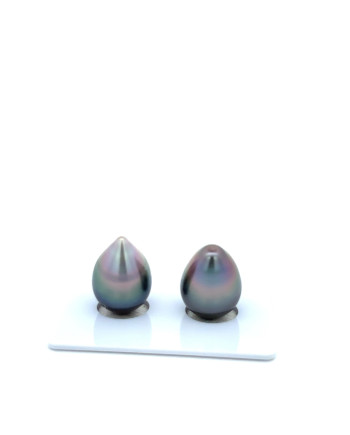 9mm+ fine  grade Tahitian Black Pearl, French Polynesia  