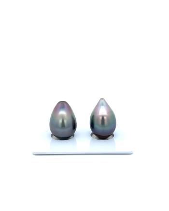9mm+ fine  grade Tahitian Black Pearl, French Polynesia  