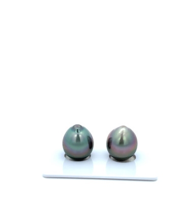 9mm+ jewel  grade Tahitian Black Pearl, French Polynesia  