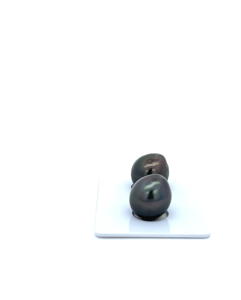 9mm+ jewel  grade Tahitian Black Pearl, French Polynesia  