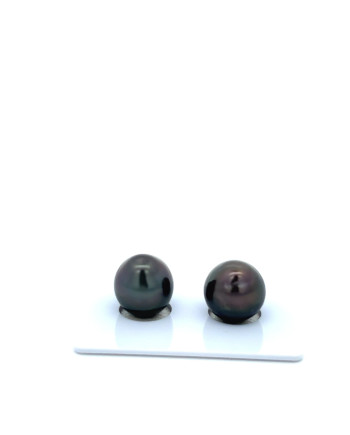 9mm+ jewel  grade Tahitian Black Pearl, French Polynesia  