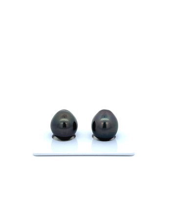9mm+ jewel  grade Tahitian Black Pearl, French Polynesia  