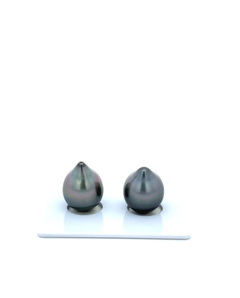 9mm+ gem  grade Tahitian Black Pearl, French Polynesia  