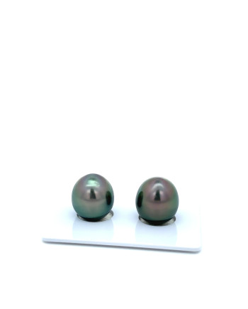 9mm+ gem  grade Tahitian Black Pearl, French Polynesia  