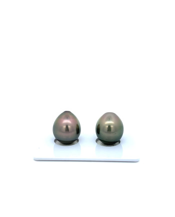 9mm+ fine  grade Tahitian Black Pearl, French Polynesia  