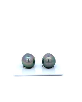 12mm+ fine  grade Tahitian Black Pearl, French Polynesia  