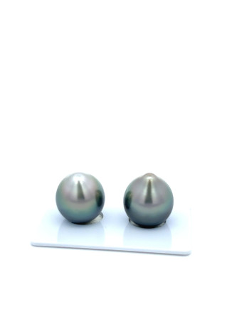 12mm+ gem  grade Tahitian Black Pearl, French Polynesia  