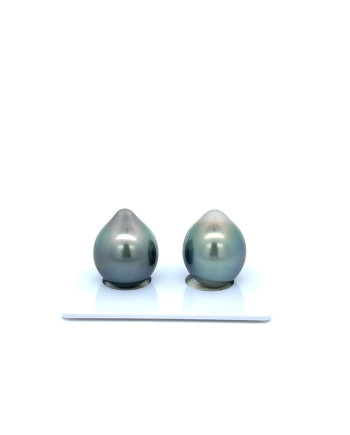 12mm+ gem  grade Tahitian Black Pearl, French Polynesia  