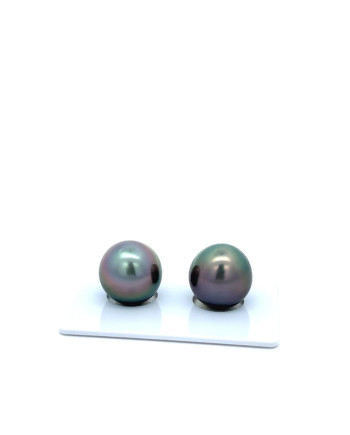 12mm+ gem  grade Tahitian Black Pearl, French Polynesia  