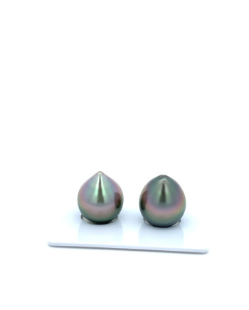 12mm+ gem  grade Tahitian Black Pearl, French Polynesia  