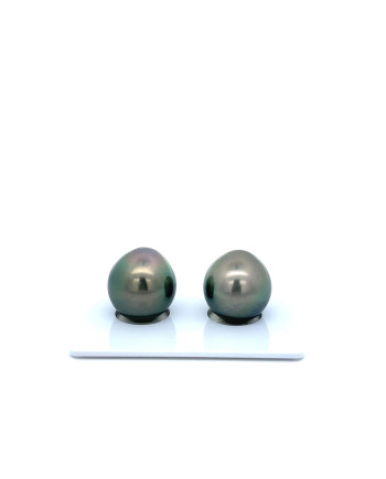 12mm+ gem  grade Tahitian Black Pearl, French Polynesia  
