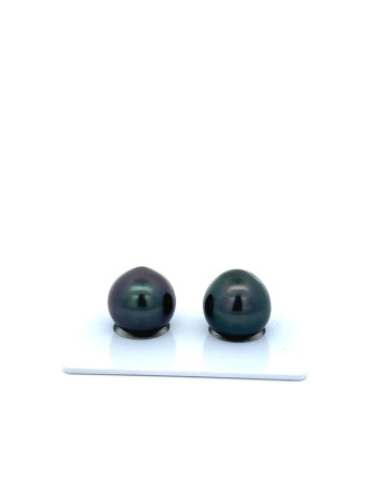 12mm+ fine  grade Tahitian Black Pearl, French Polynesia  