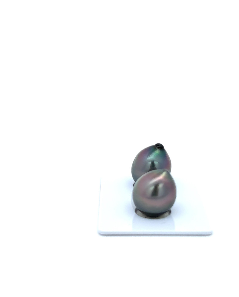 12mm+ gem  grade Tahitian Black Pearl, French Polynesia  