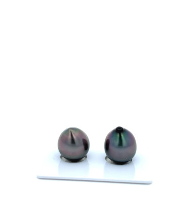 12mm+ gem  grade Tahitian Black Pearl, French Polynesia  