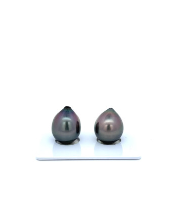 12mm+ gem  grade Tahitian Black Pearl, French Polynesia  