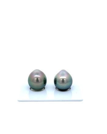 12mm+ fine  grade Tahitian Black Pearl, French Polynesia  
