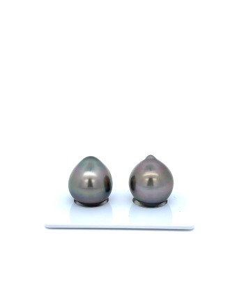 12mm+ gem  grade Tahitian Black Pearl, French Polynesia  