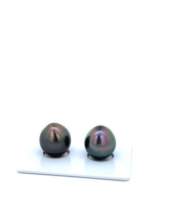 12mm+ fine  grade Tahitian Black Pearl, French Polynesia  