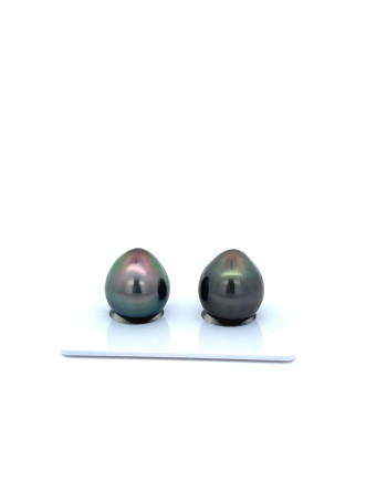 12mm+ fine  grade Tahitian Black Pearl, French Polynesia  