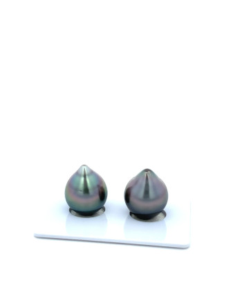 12mm+ fine  grade Tahitian Black Pearl, French Polynesia  